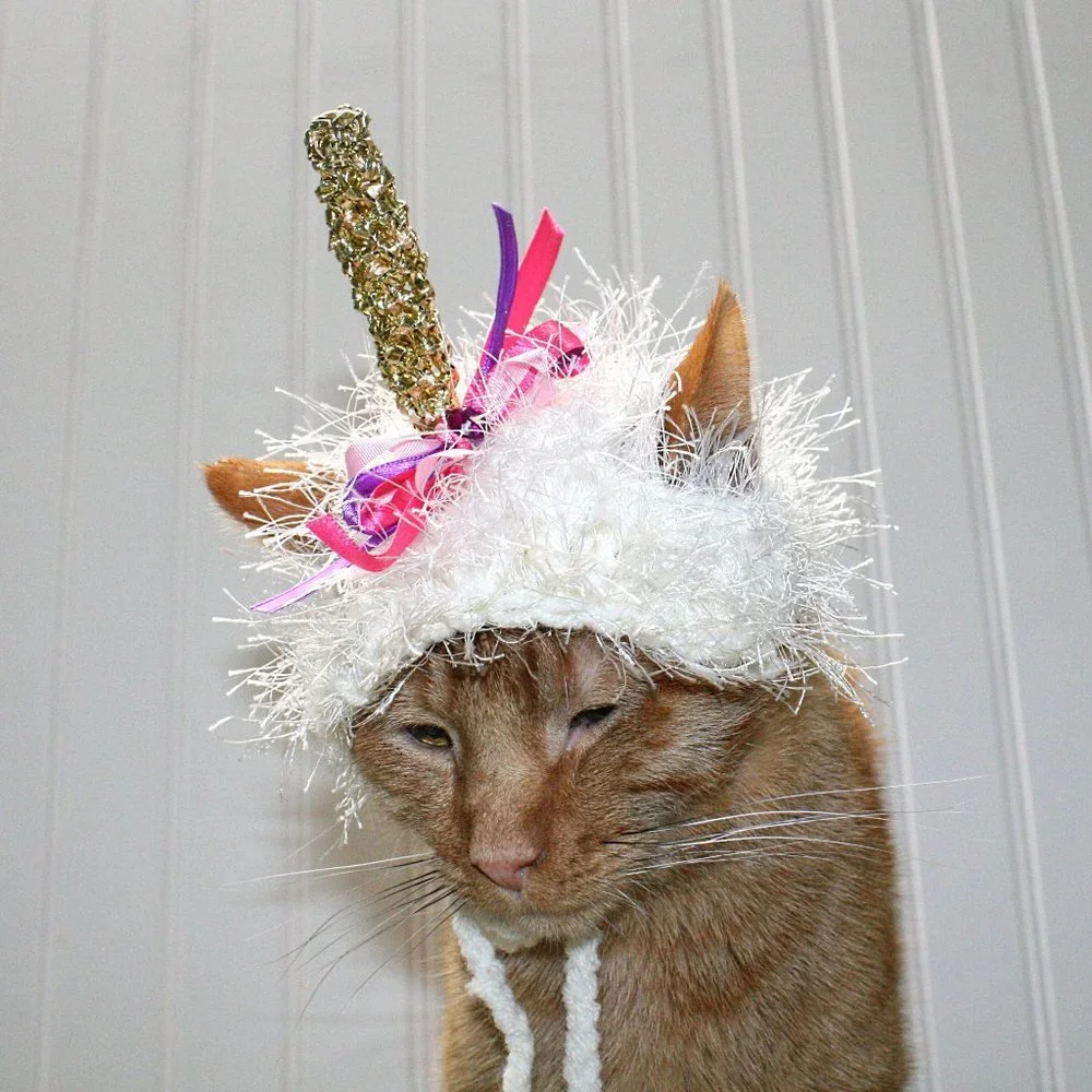 HAND CRAFTED Unicorn Cat Hat Crochet Hairy Wig Costume Photo Prop